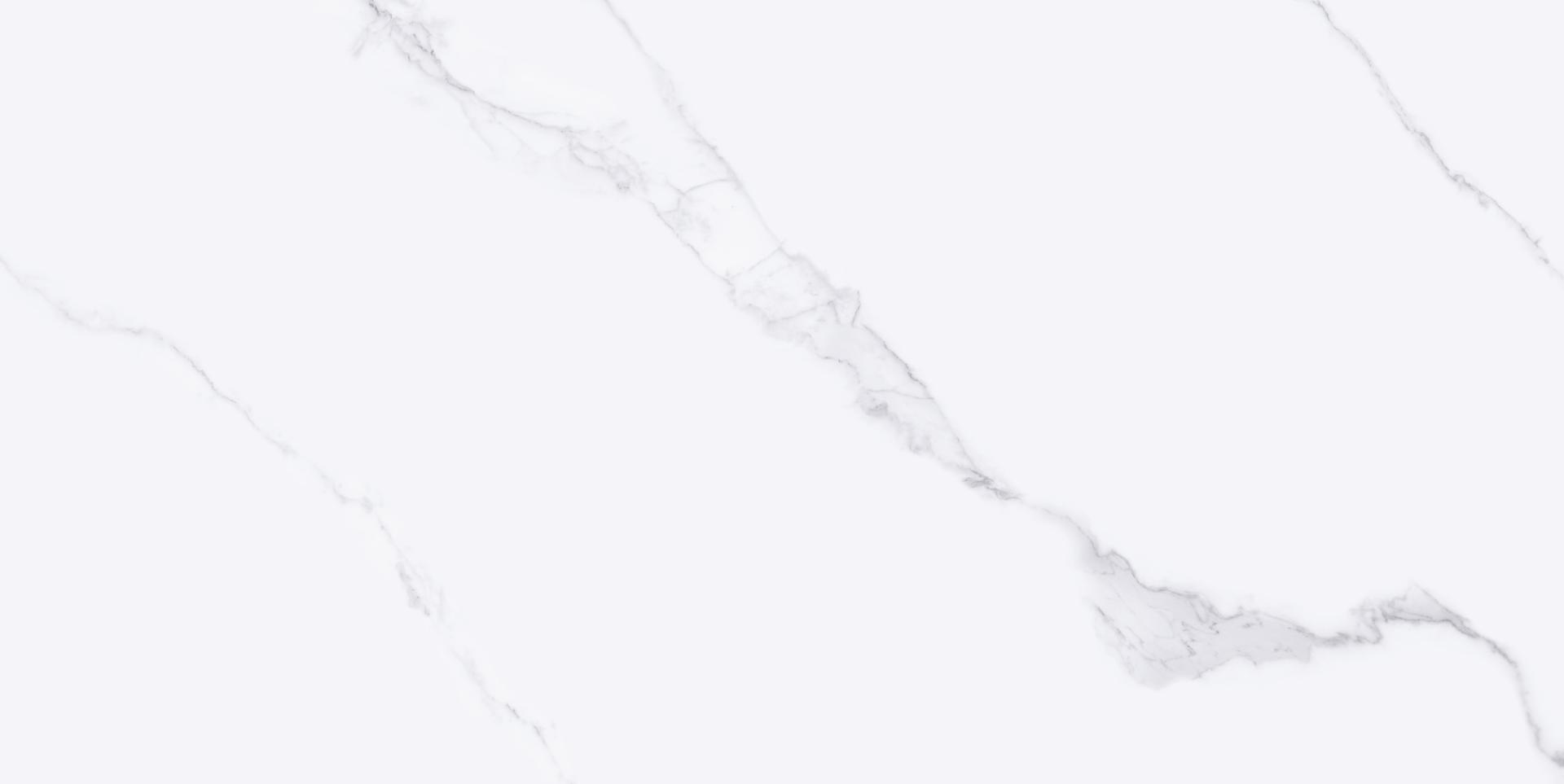 PISO ELEGANCE BLANC 56X113 VAC360007 (CX/ 2,50