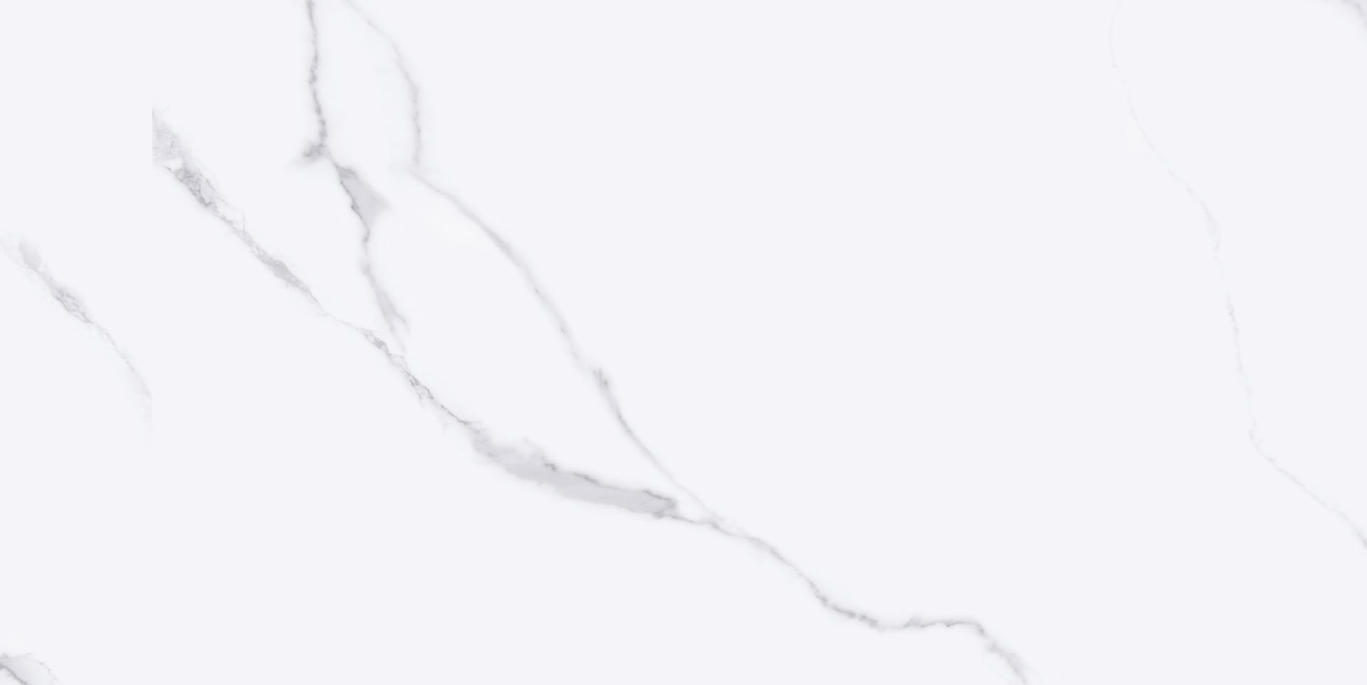 PISO ELEGANCE BLANC VPR313004 56X113 (CX 2,5 MT)